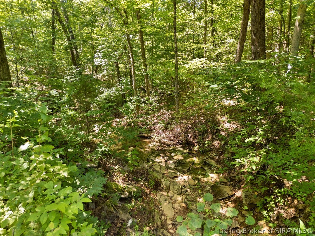 0 Black Creek Road Se Property Photo 23