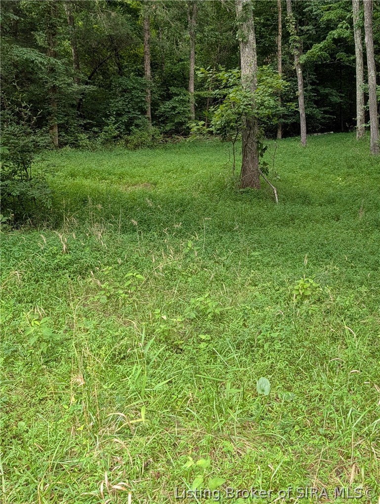 Chanley Road Property Photo 1