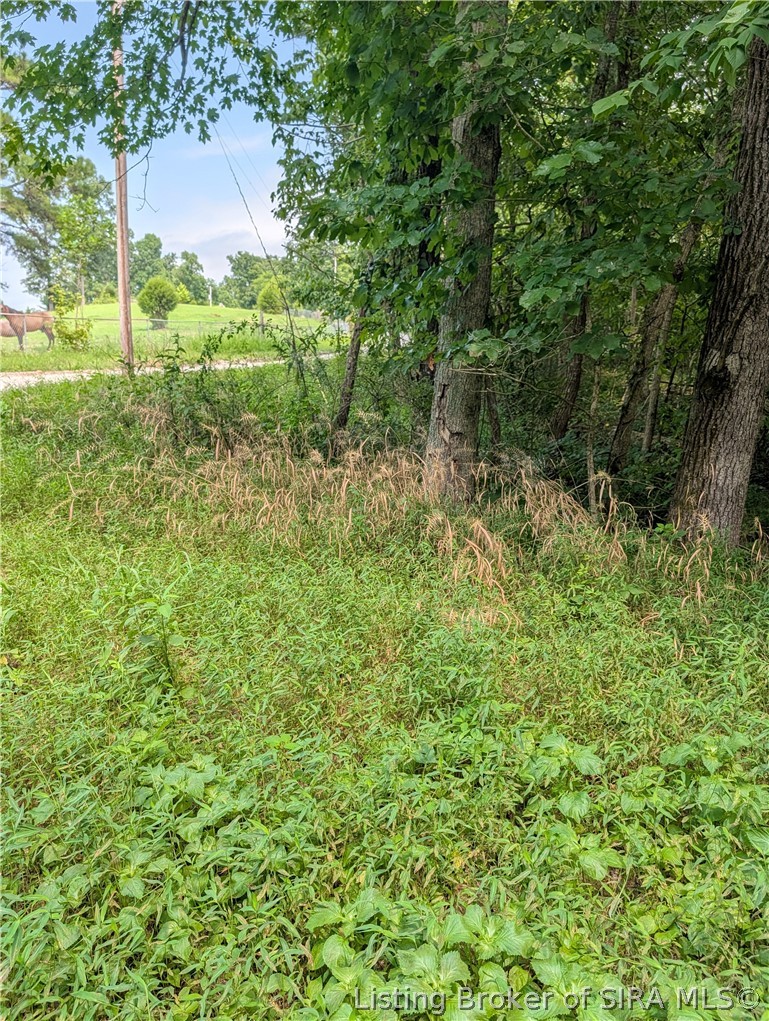 Chanley Road Property Photo 3