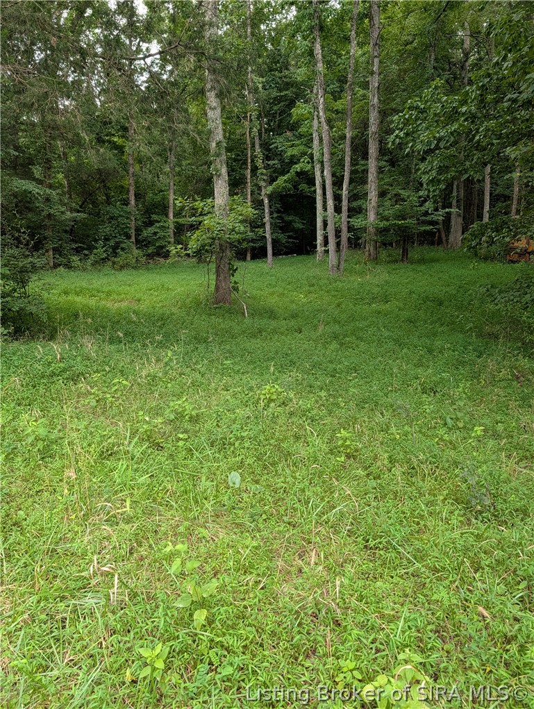 Chanley Road Property Photo 7