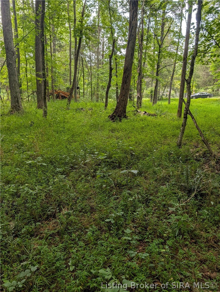 Chanley Road Property Photo 9