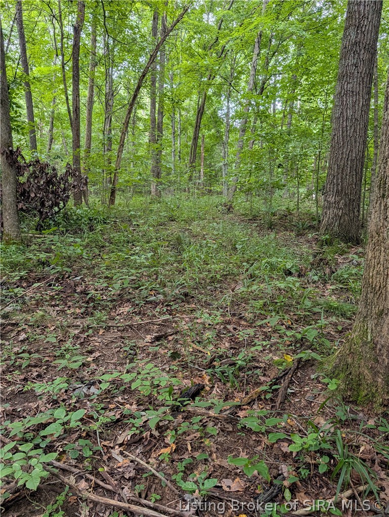 Chanley Road Property Photo 10