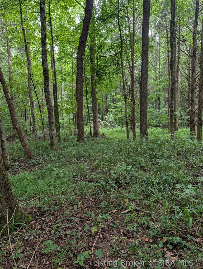 Chanley Road Property Photo 11
