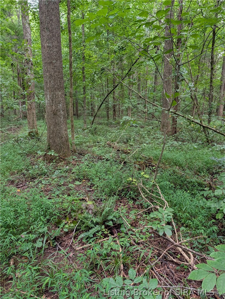 Chanley Road Property Photo 12