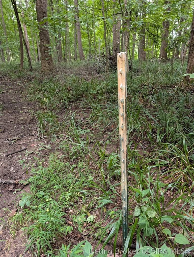 Chanley Road Property Photo 14