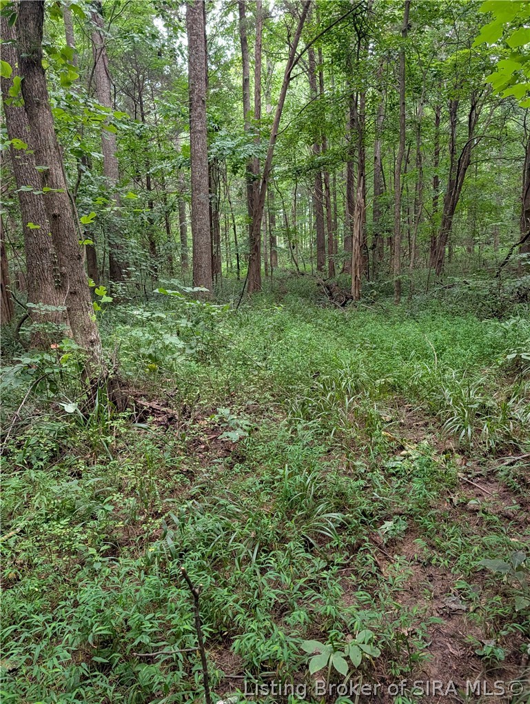 Chanley Road Property Photo 15