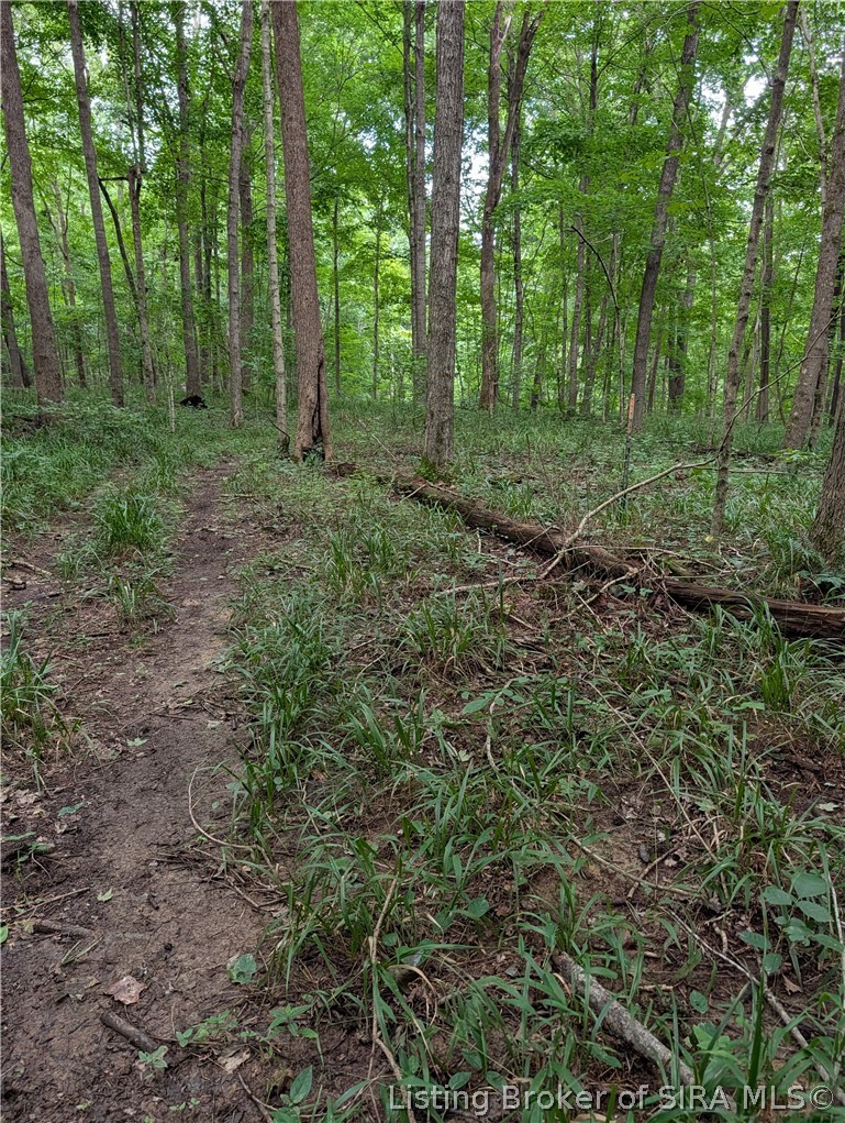 Chanley Road Property Photo 16