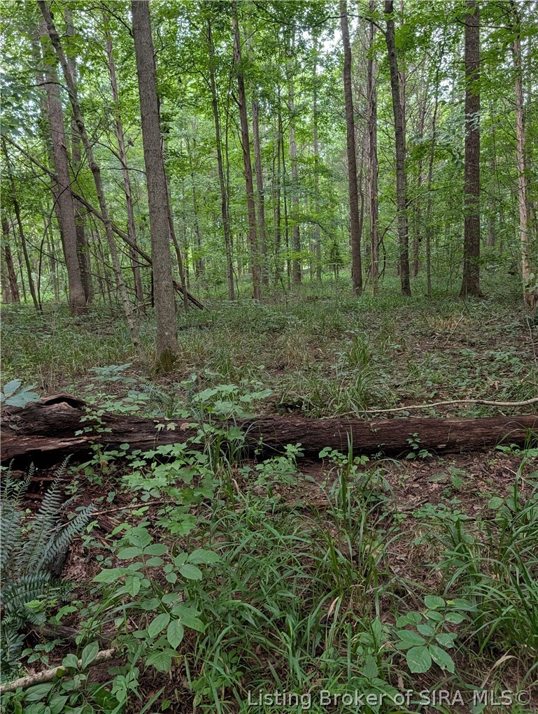 Chanley Road Property Photo 17