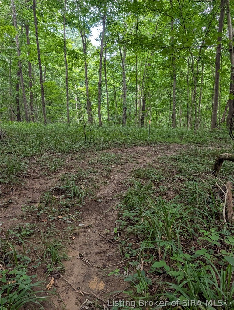 Chanley Road Property Photo 18