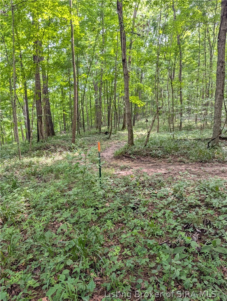 Chanley Road Property Photo 19