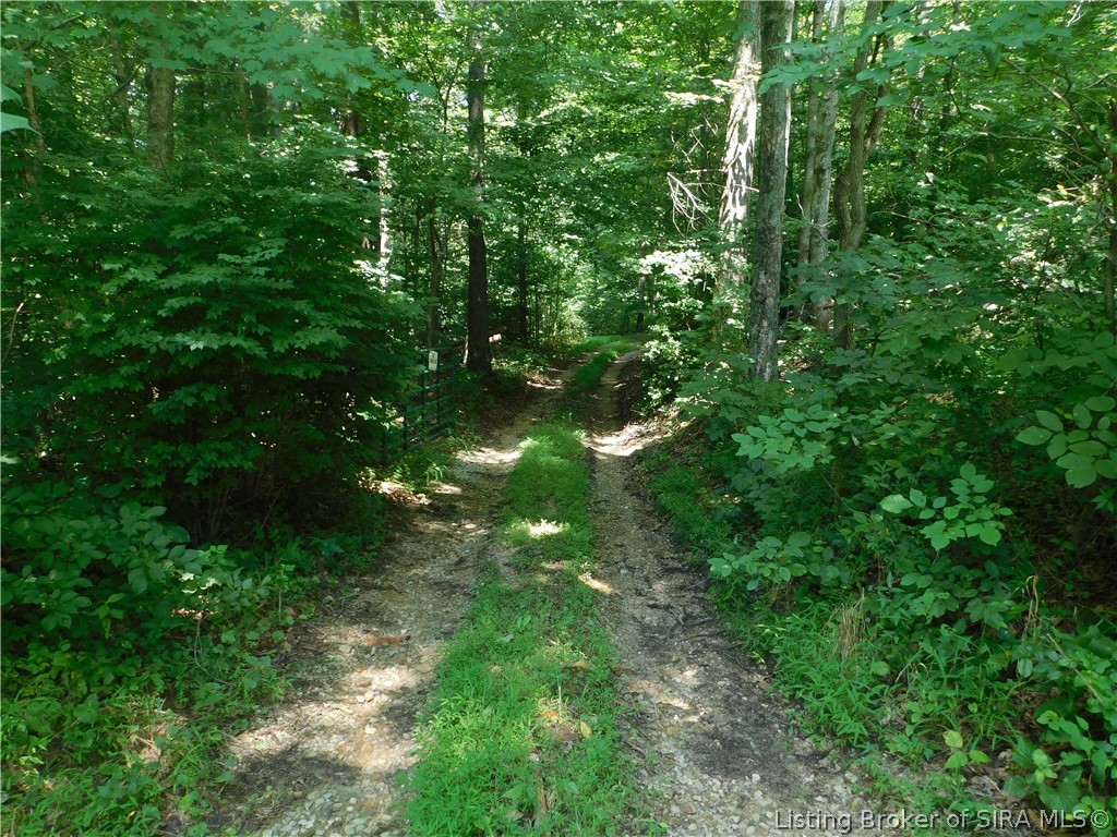 6872 E Hurst Road Property Photo 6