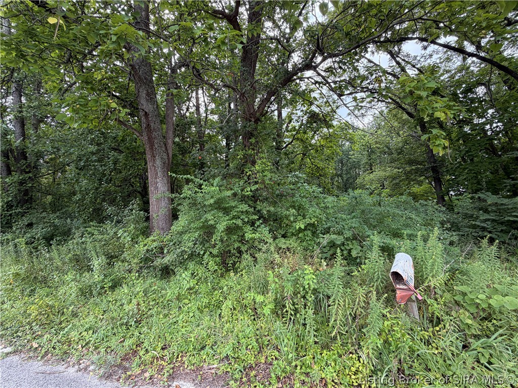 7005 Hwy 311 311 Property Photo