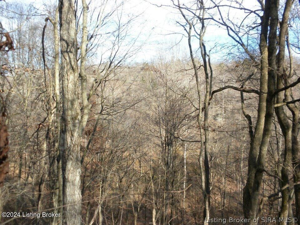 2409 Benleo Road Property Photo 7
