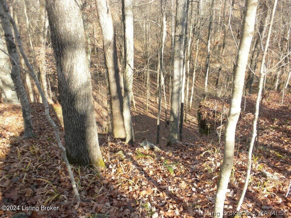 2409 Benleo Road Property Photo 9