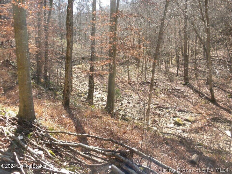 2409 Benleo Road Property Photo 11