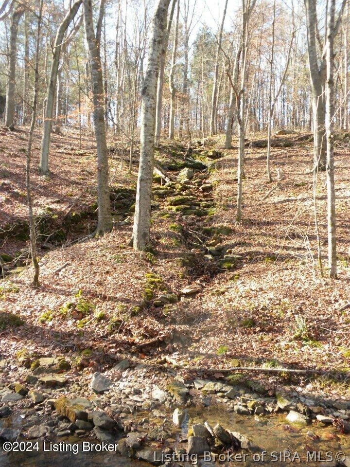 2409 Benleo Road Property Photo 14