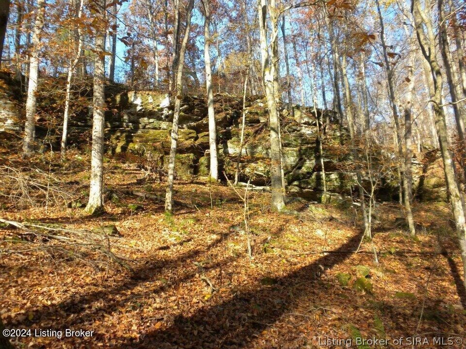 2409 Benleo Road Property Photo 15