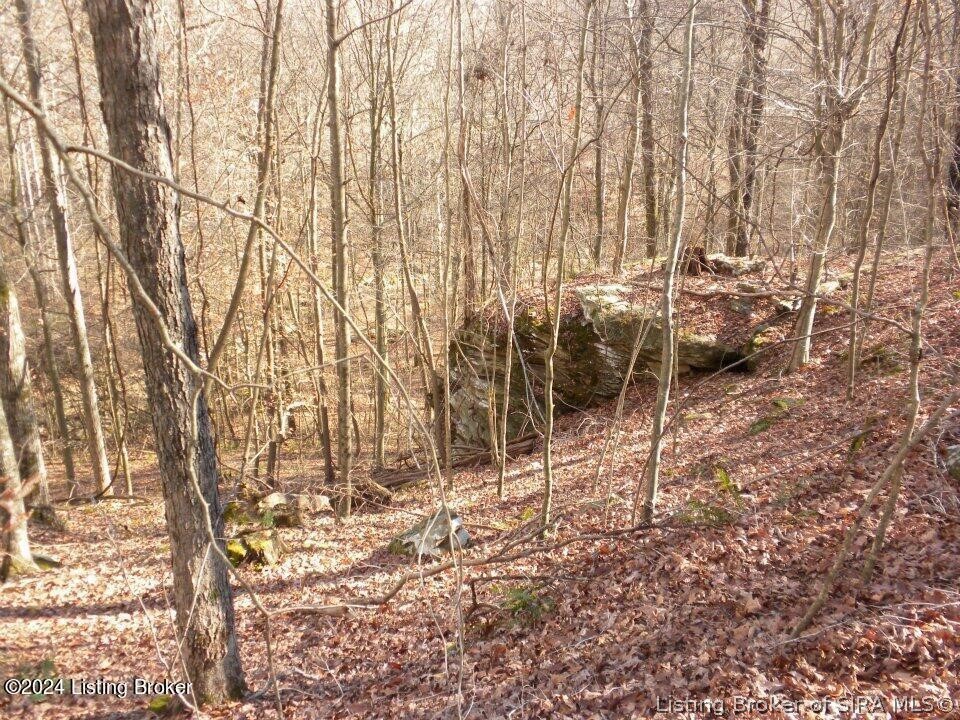 2409 Benleo Road Property Photo 22