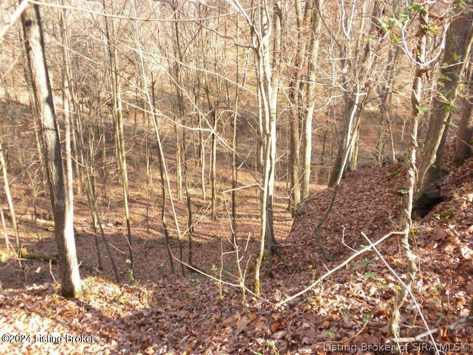 2409 Benleo Road Property Photo 24