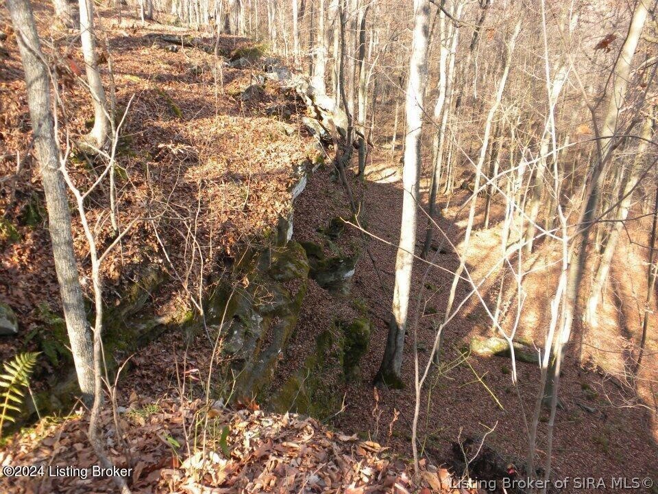 2409 Benleo Road Property Photo 25