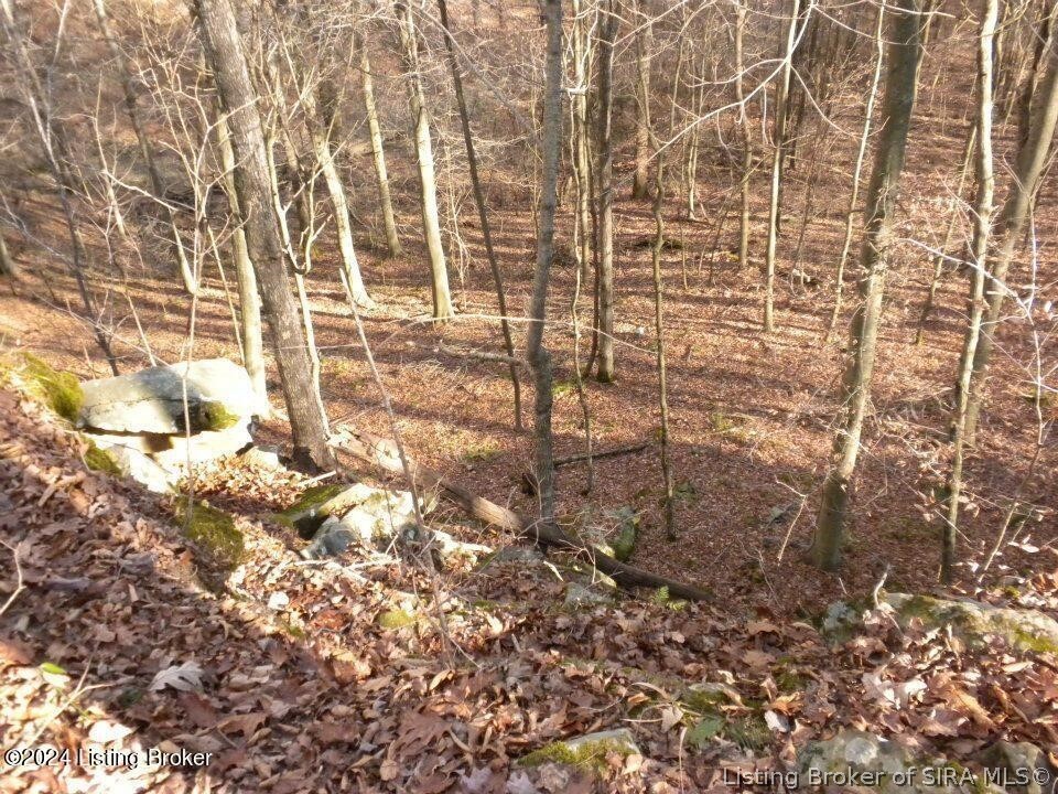 2409 Benleo Road Property Photo 26