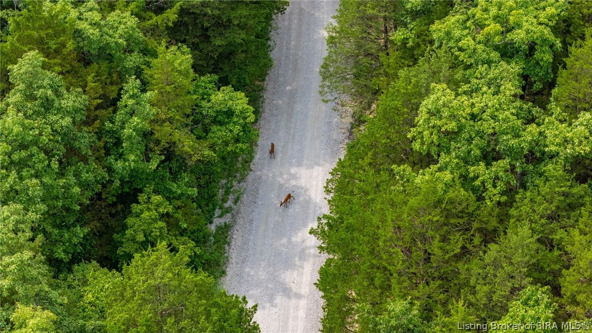 3668 W Saluda Hill Road Property Photo 18