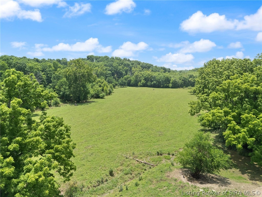 Tract 1 - 6720 High Jackson Road Property Photo 17