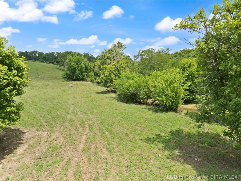 Tract 6 High Jackson Road Property Photo 15