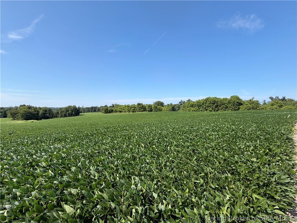 2969 W Walnut Ridge Road Property Photo 67