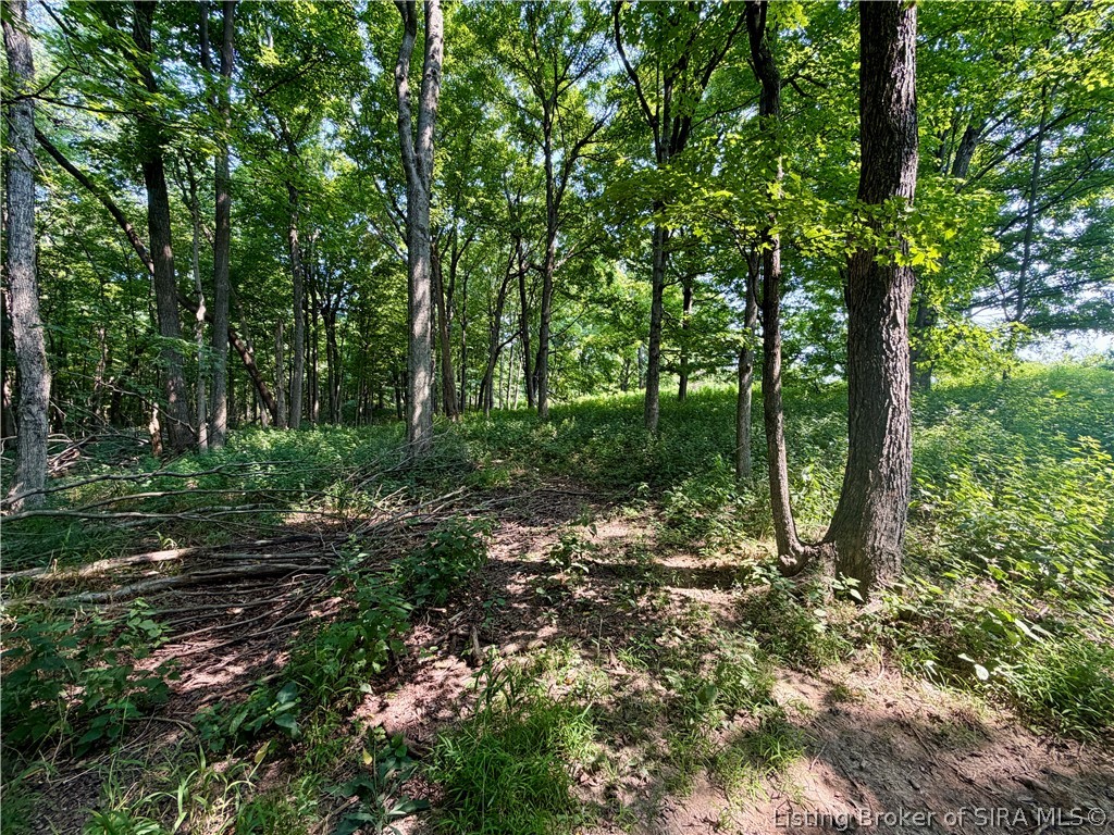 2969 W Walnut Ridge Road Property Photo 76
