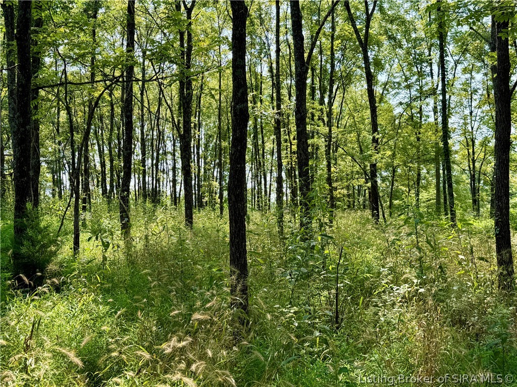 2969 W Walnut Ridge Road Property Photo 80