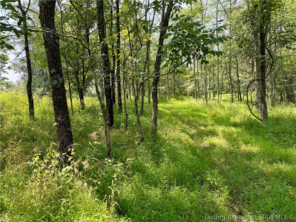 2969 W Walnut Ridge Road Property Photo 83