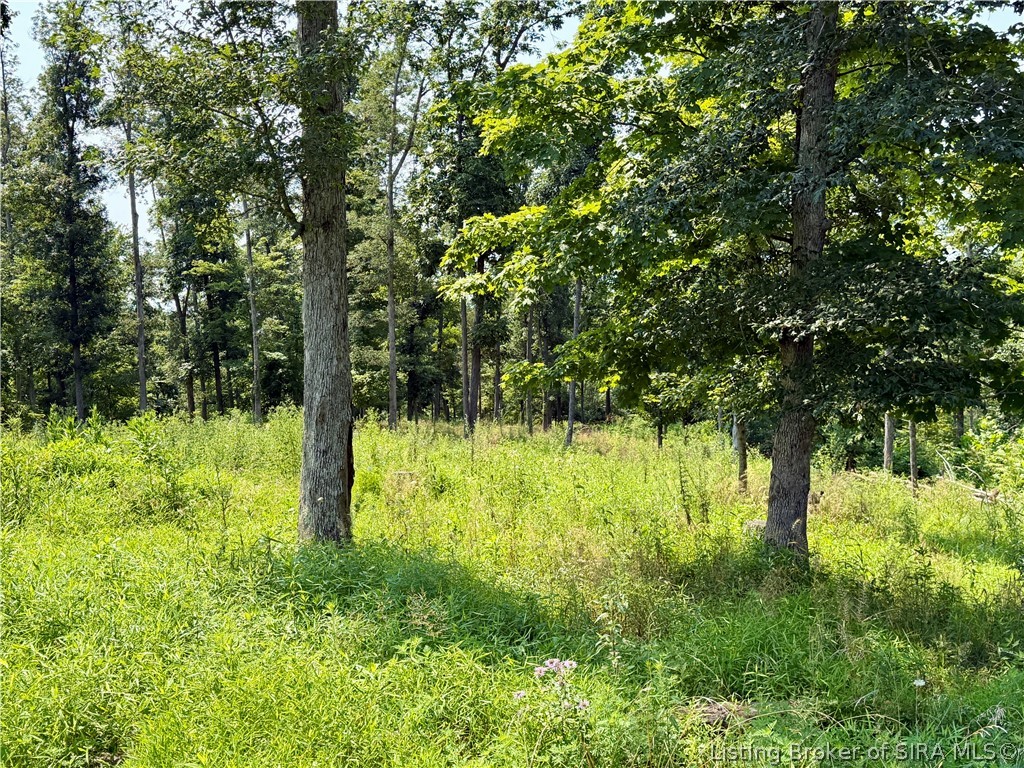 2969 W Walnut Ridge Road Property Photo 85