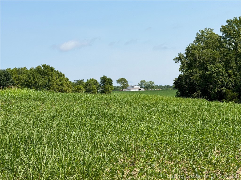 2969 W Walnut Ridge Road Property Photo 86