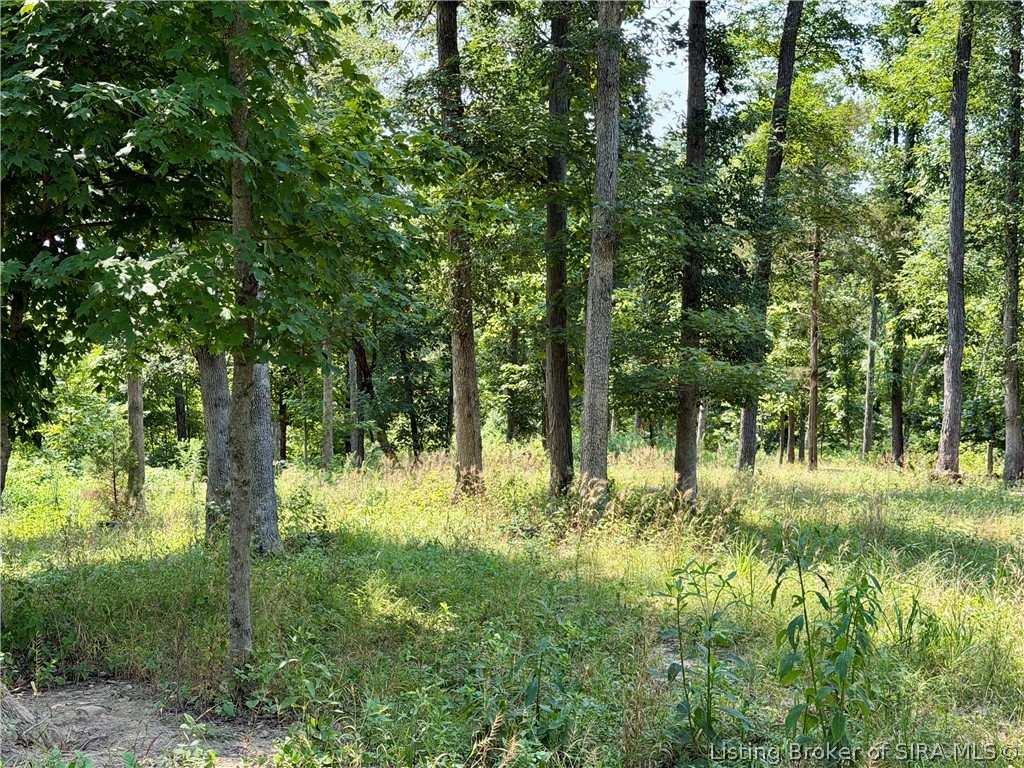 2969 W Walnut Ridge Road Property Photo 87