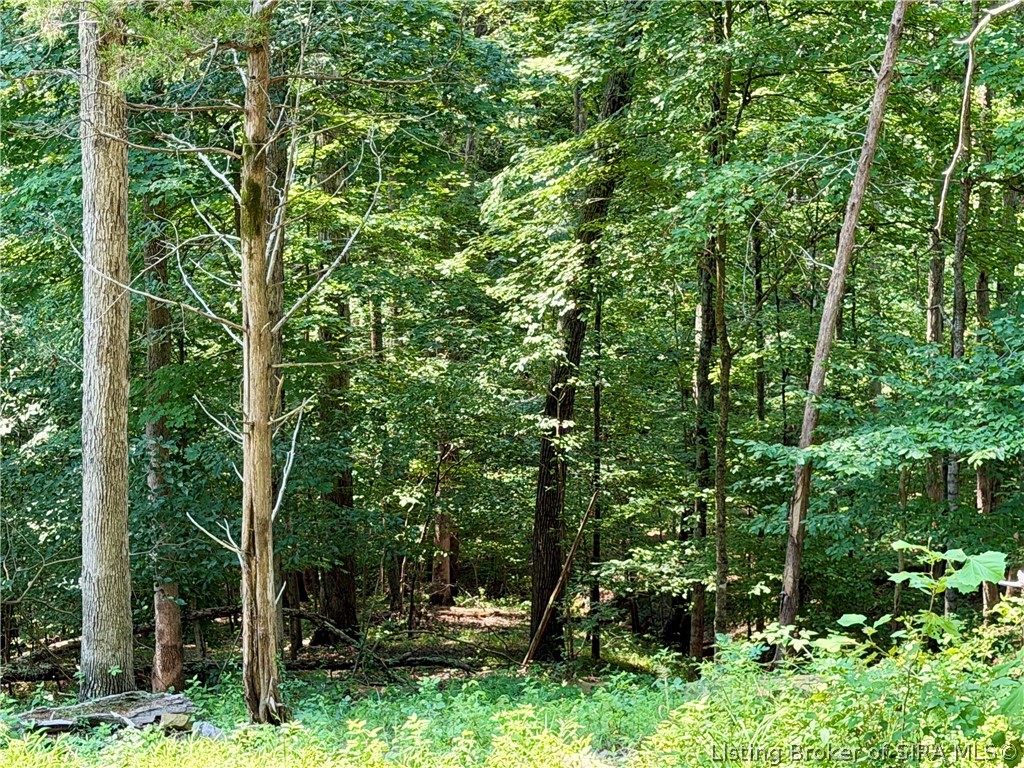 2969 W Walnut Ridge Road Property Photo 89