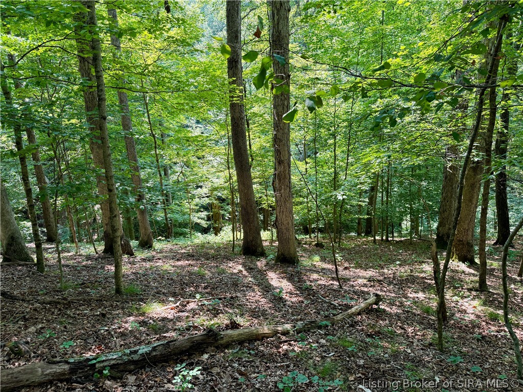 2969 W Walnut Ridge Road Property Photo 91