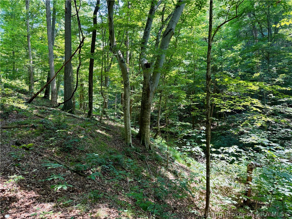 2969 W Walnut Ridge Road Property Photo 92