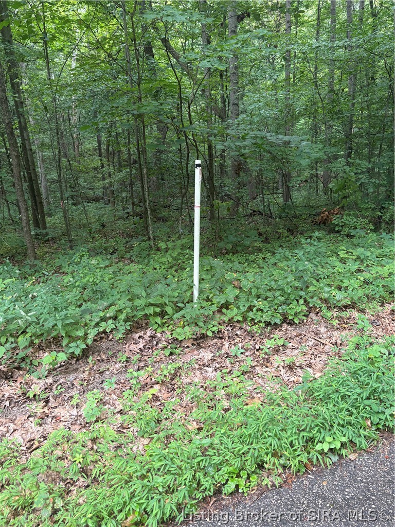 9622 E Birch Road Property Photo 2
