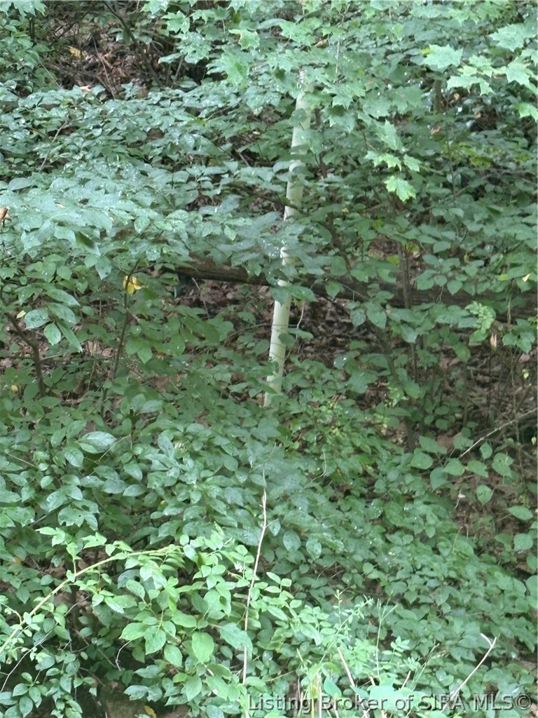 9622 E Birch Road Property Photo 3