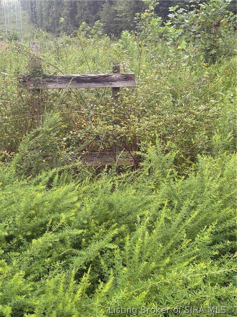9622 E Birch Road Property Photo 5