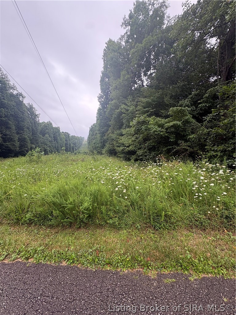 9622 E Birch Road Property Photo 6