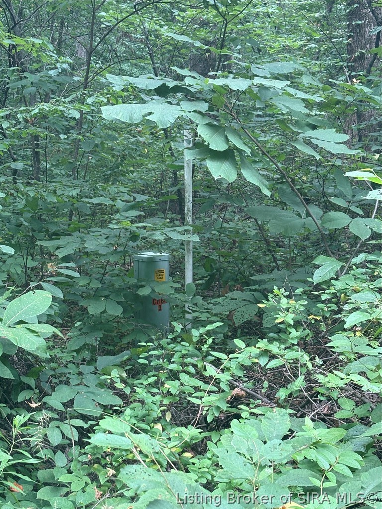 9622 E Birch Road Property Photo 8