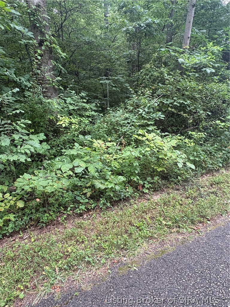 9622 E Birch Road Property Photo 9