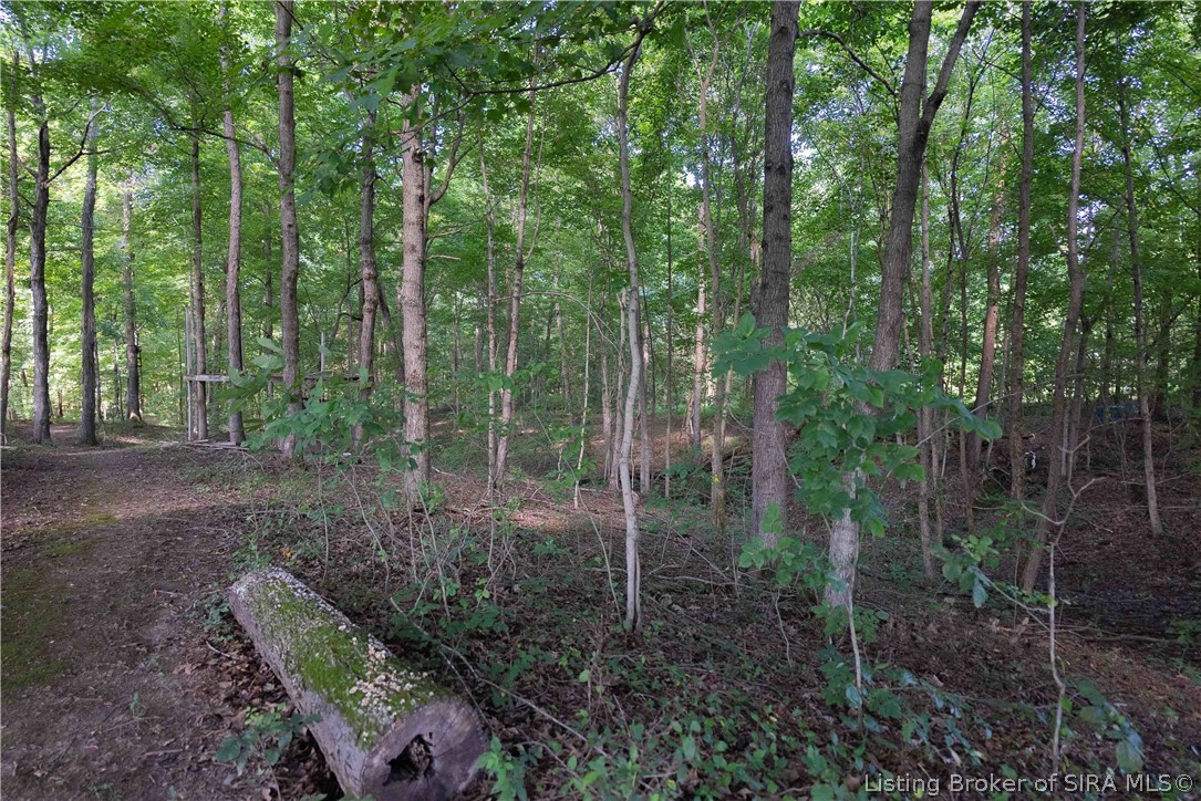 2202 Ebenezer Church Road Property Photo 14