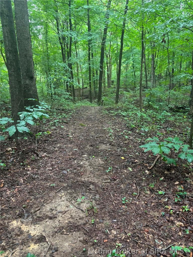 2202 Ebenezer Church Road Property Photo 18