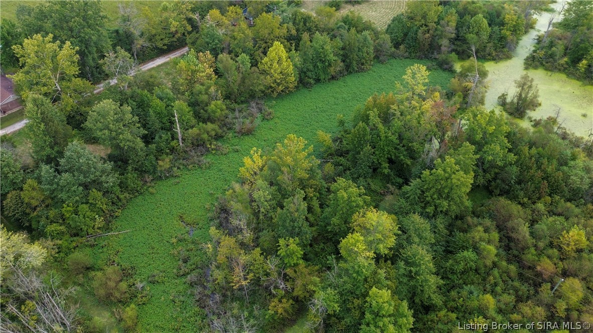 Thomastown Property Photo 14