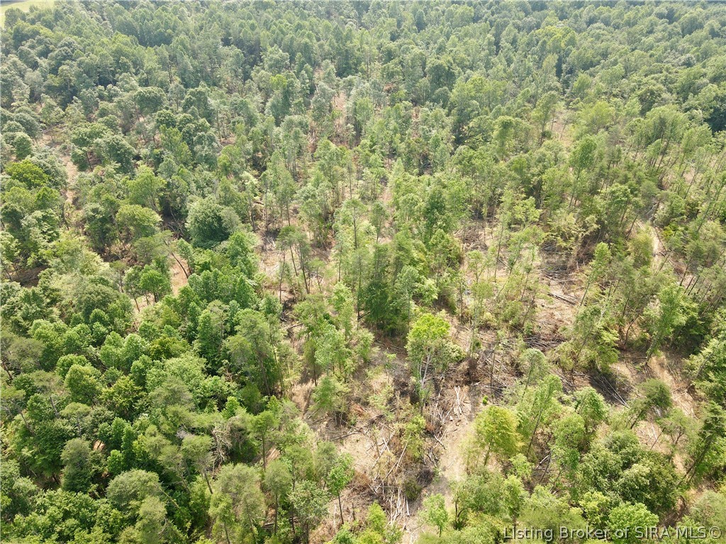 N State Rd 203 Property Photo 5