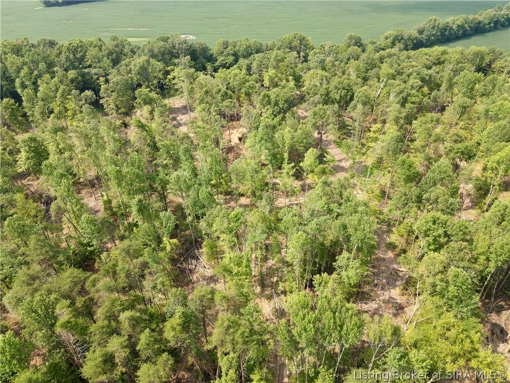 N State Rd 203 Property Photo 6