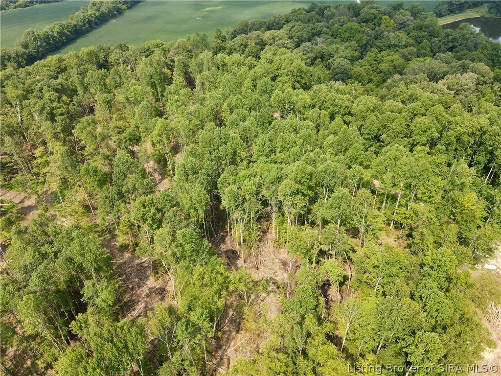 N State Rd 203 Property Photo 7